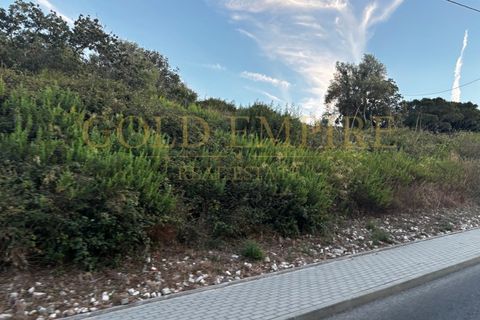 Helårsgrund i Alcabideche, Lisbon, Alcabideche - € 6.000.000 | Ref: GE-MC100414 - foto 7