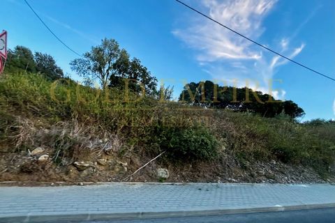 Helårsgrund i Alcabideche, Lisbon, Alcabideche - € 6.000.000 | Ref: GE-MC100414 - foto 9
