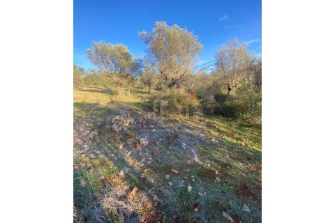 Helårsgrund i Sousel, Portalegre, Sousel - € 110.000 | Ref: TER_001_08SOU - foto 3