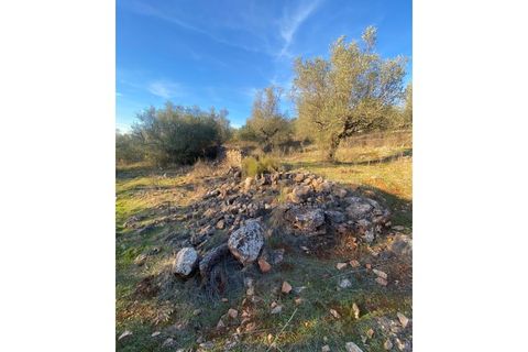 Helårsgrund i Sousel, Portalegre, Sousel - € 110.000 | Ref: TER_001_08SOU - foto 4