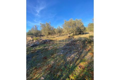 Helårsgrund i Sousel, Portalegre, Sousel - € 110.000 | Ref: TER_001_08SOU - foto 7