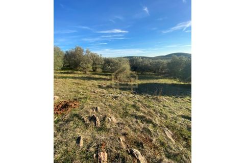 Helårsgrund i Sousel, Portalegre, Sousel - € 110.000 | Ref: TER_001_08SOU - foto 8