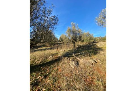 Helårsgrund i Sousel, Portalegre, Sousel - € 110.000 | Ref: TER_001_08SOU - foto 9