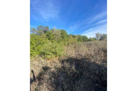 Helårsgrund i Sousel, Portalegre, Sousel - € 110.000 | Ref: TER_001_08SOU - foto 11