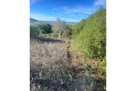 Helårsgrund i Sousel, Portalegre, Sousel - € 110.000 | Ref: TER_001_08SOU - foto 13