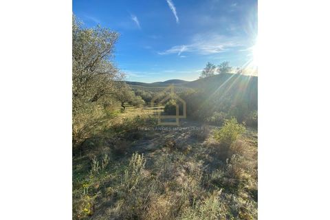 Helårsgrund i Sousel, Portalegre, Sousel - € 110.000 | Ref: TER_001_08SOU - foto 14