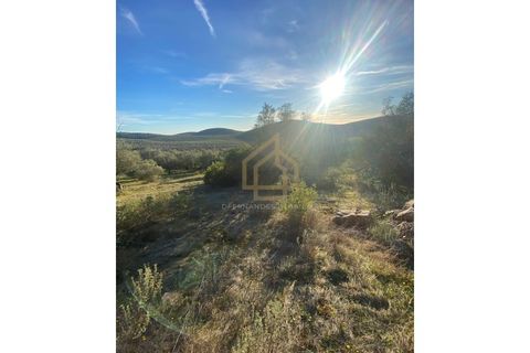 Helårsgrund i Sousel, Portalegre, Sousel - € 110.000 | Ref: TER_001_08SOU - foto 15