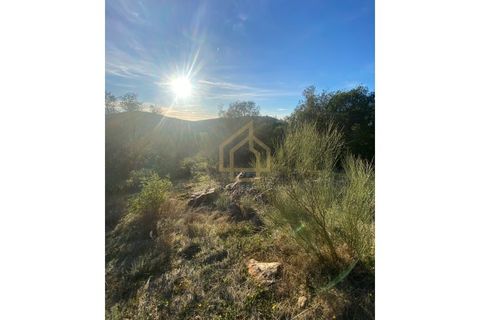Helårsgrund i Sousel, Portalegre, Sousel - € 110.000 | Ref: TER_001_08SOU - foto 16