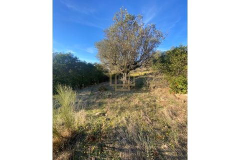 Helårsgrund i Sousel, Portalegre, Sousel - € 110.000 | Ref: TER_001_08SOU - foto 17