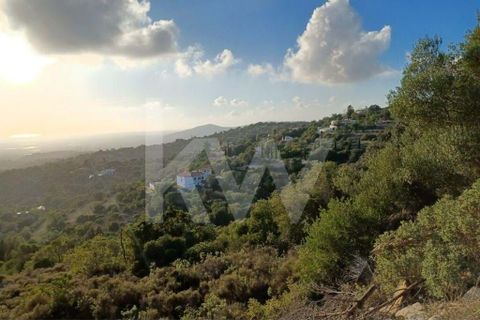 Helårsgrund i Conceicao e Estoi, Faro, Conceicao e Estoi - € 44.000 | Ref: 2276-743 - foto 1