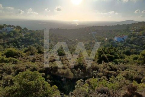 Helårsgrund i Conceicao e Estoi, Faro, Conceicao e Estoi - € 44.000 | Ref: 2276-743 - foto 2