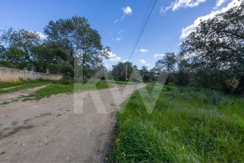 Helårsgrund i Almancil, Faro, Almancil - € 830.000 | Ref: 2276-1224 - foto 10