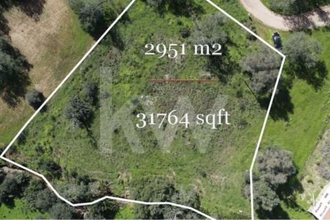 Helårsgrund i Almancil, Faro, Almancil - € 830.000 | Ref: 2276-1224 - foto 14