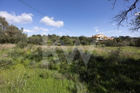 Helårsgrund i Almancil, Faro, Almancil - € 830.000 | Ref: 2276-1224 - foto 17