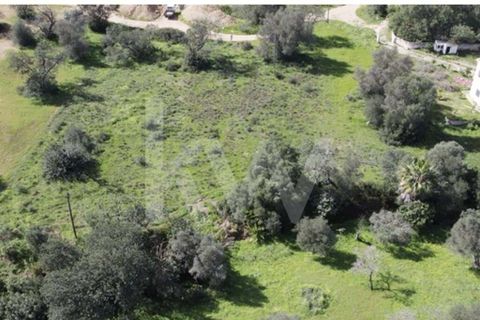 Helårsgrund i Almancil, Faro, Almancil - € 830.000 | Ref: 2276-1224 - foto 21