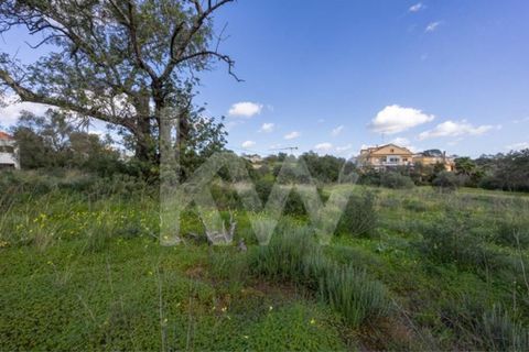 Helårsgrund i Almancil, Faro, Almancil - € 830.000 | Ref: 2276-1224 - foto 23