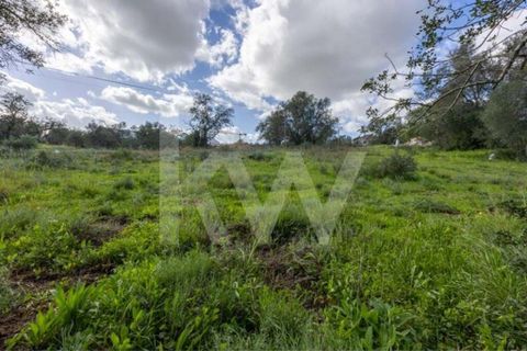 Helårsgrund i Almancil, Faro, Almancil - € 830.000 | Ref: 2276-1224 - foto 26