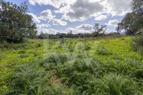 Helårsgrund i Almancil, Faro, Almancil - € 830.000 | Ref: 2276-1224 - foto 27