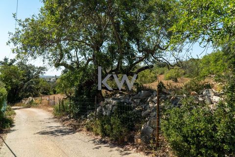 Villa i Conceicao e Estoi, Faro, Conceicao e Estoi - € 245.000 | Ref: KWPT-001148 - foto 6