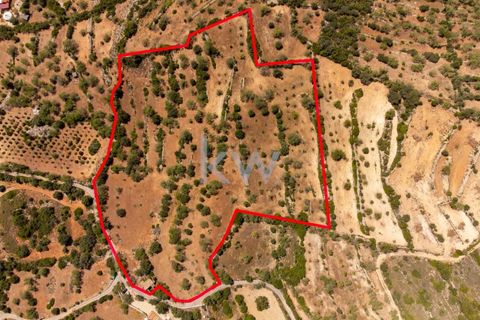 Villa i Conceicao e Estoi, Faro, Conceicao e Estoi - € 245.000 | Ref: KWPT-001148 - foto 9