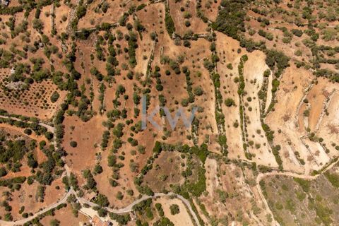 Villa i Conceicao e Estoi, Faro, Conceicao e Estoi - € 245.000 | Ref: KWPT-001148 - foto 10