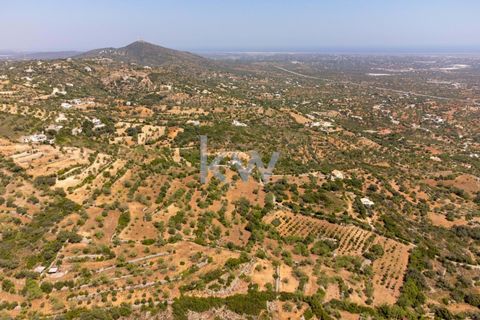 Villa i Conceicao e Estoi, Faro, Conceicao e Estoi - € 245.000 | Ref: KWPT-001148 - foto 11