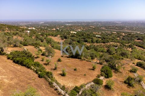 Villa i Conceicao e Estoi, Faro, Conceicao e Estoi - € 245.000 | Ref: KWPT-001148 - foto 16
