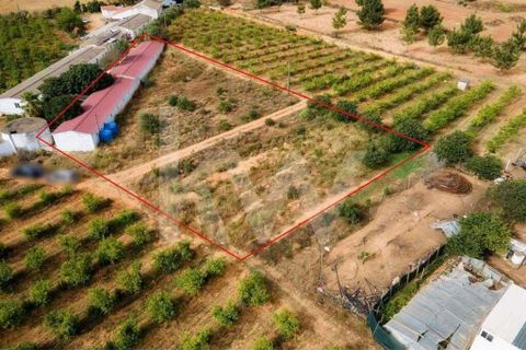 Helårsgrund i Olhao, Faro, Olhao - € 217.500 | Ref: 2276-1357 - foto 1