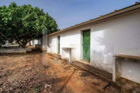 Helårsgrund i Olhao, Faro, Olhao - € 217.500 | Ref: 2276-1357 - foto 3