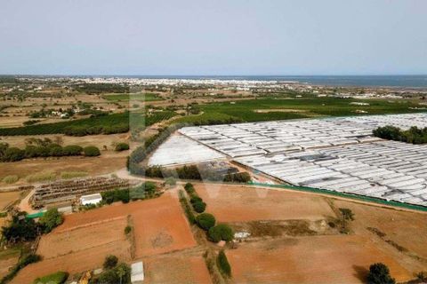 Helårsgrund i Olhao, Faro, Olhao - € 217.500 | Ref: 2276-1357 - foto 6