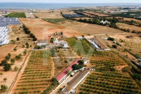 Helårsgrund i Olhao, Faro, Olhao - € 217.500 | Ref: 2276-1357 - foto 8
