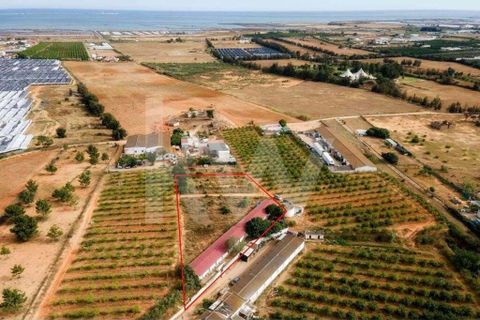 Helårsgrund i Olhao, Faro, Olhao - € 217.500 | Ref: 2276-1357 - foto 9