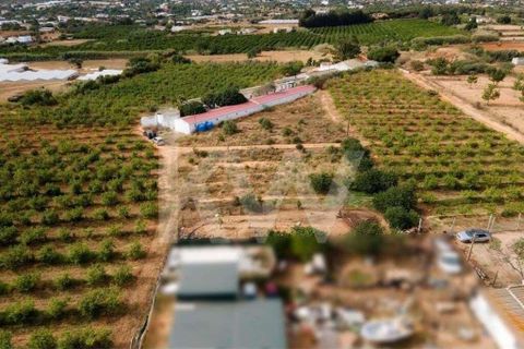 Helårsgrund i Olhao, Faro, Olhao - € 217.500 | Ref: 2276-1357 - foto 10