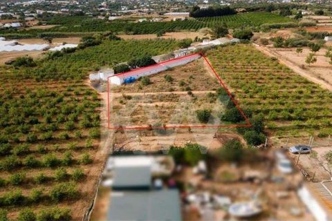 Helårsgrund i Olhao, Faro, Olhao - € 217.500 | Ref: 2276-1357 - foto 11