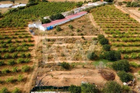 Helårsgrund i Olhao, Faro, Olhao - € 217.500 | Ref: 2276-1357 - foto 12