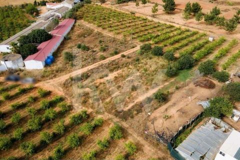 Helårsgrund i Olhao, Faro, Olhao - € 217.500 | Ref: 2276-1357 - foto 13