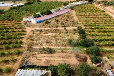 Helårsgrund i Olhao, Faro, Olhao - € 217.500 | Ref: 2276-1357 - foto 15