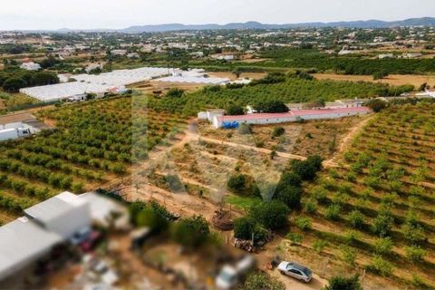 Helårsgrund i Olhao, Faro, Olhao - € 217.500 | Ref: 2276-1357 - foto 17