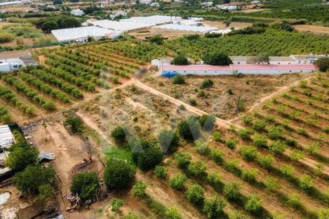Helårsgrund i Olhao, Faro, Olhao - € 217.500 | Ref: 2276-1357 - foto 18