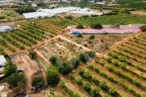 Helårsgrund i Olhao, Faro, Olhao - € 217.500 | Ref: 2276-1357 - foto 19