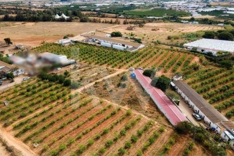 Helårsgrund i Olhao, Faro, Olhao - € 217.500 | Ref: 2276-1357 - foto 20