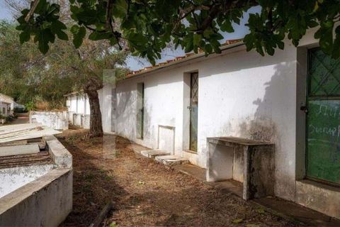 Helårsgrund i Olhao, Faro, Olhao - € 217.500 | Ref: 2276-1357 - foto 21