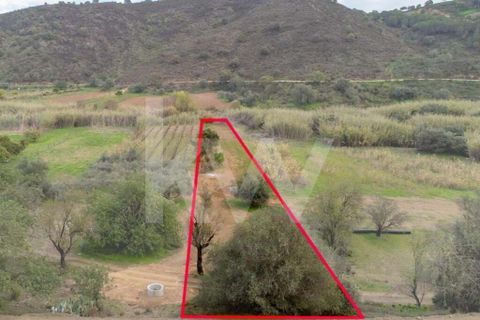 Terra em Odeleite, Faro, Odeleite - € 9.000 | Ref: 2276-1154 - foto 2