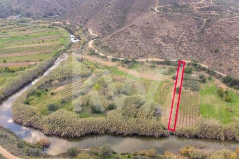 Terra em Odeleite, Faro, Odeleite - € 9.000 | Ref: 2276-1154 - foto 4