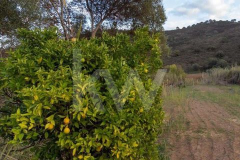 Terra em Odeleite, Faro, Odeleite - € 9.000 | Ref: 2276-1154 - foto 10