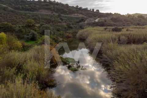Terra em Odeleite, Faro, Odeleite - € 9.000 | Ref: 2276-1154 - foto 13