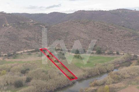 Terra em Odeleite, Faro, Odeleite - € 9.000 | Ref: 2276-1154 - foto 6