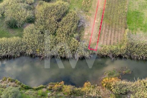 Terra em Odeleite, Faro, Odeleite - € 9.000 | Ref: 2276-1154 - foto 7