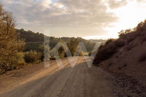 Terra em Odeleite, Faro, Odeleite - € 9.000 | Ref: 2276-1154 - foto 22