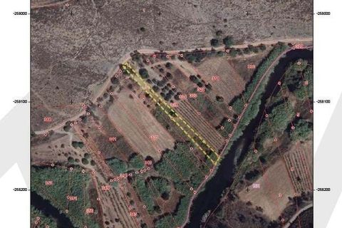 Terra em Odeleite, Faro, Odeleite - € 9.000 | Ref: 2276-1154 - foto 23